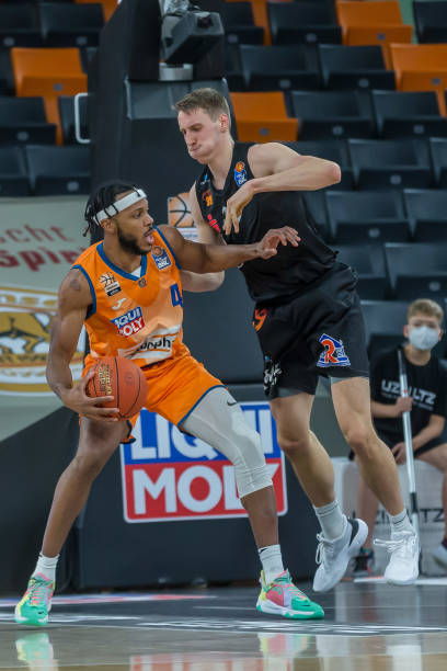 仅来自塔图 仅来自塔图